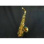 YANAGISAWA AW01 _DEMO Yanagisawa AW01 Professional Alto Saxophone Demo